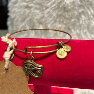 NWT- Alex and Ani Eye of Horus charm braclet